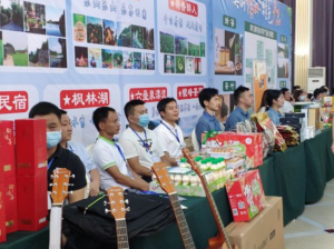 ׽조ѷƶȺڡ¡ؾٰ Ѷ247Ԫ