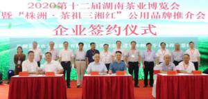 2020ʮϲᡰޡ족Ʒƽ
